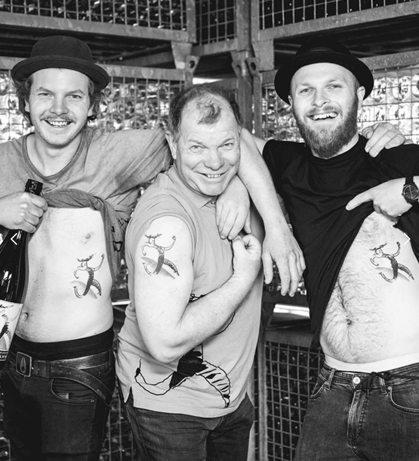 Marius, Karlo und Marcel im Weinkeller des Weinguts Dillmann