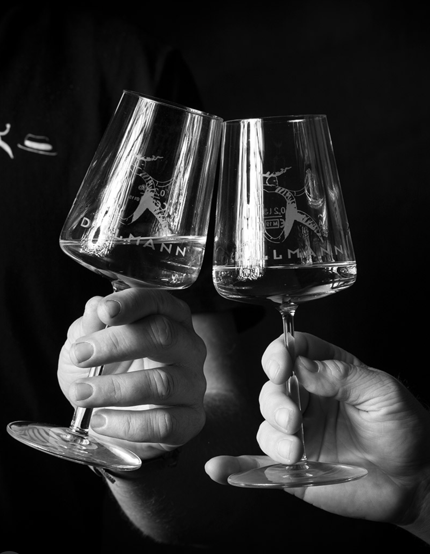 Marius und Marcel vom Weingut Dillmann stoßen mit zwei Weingläsern an