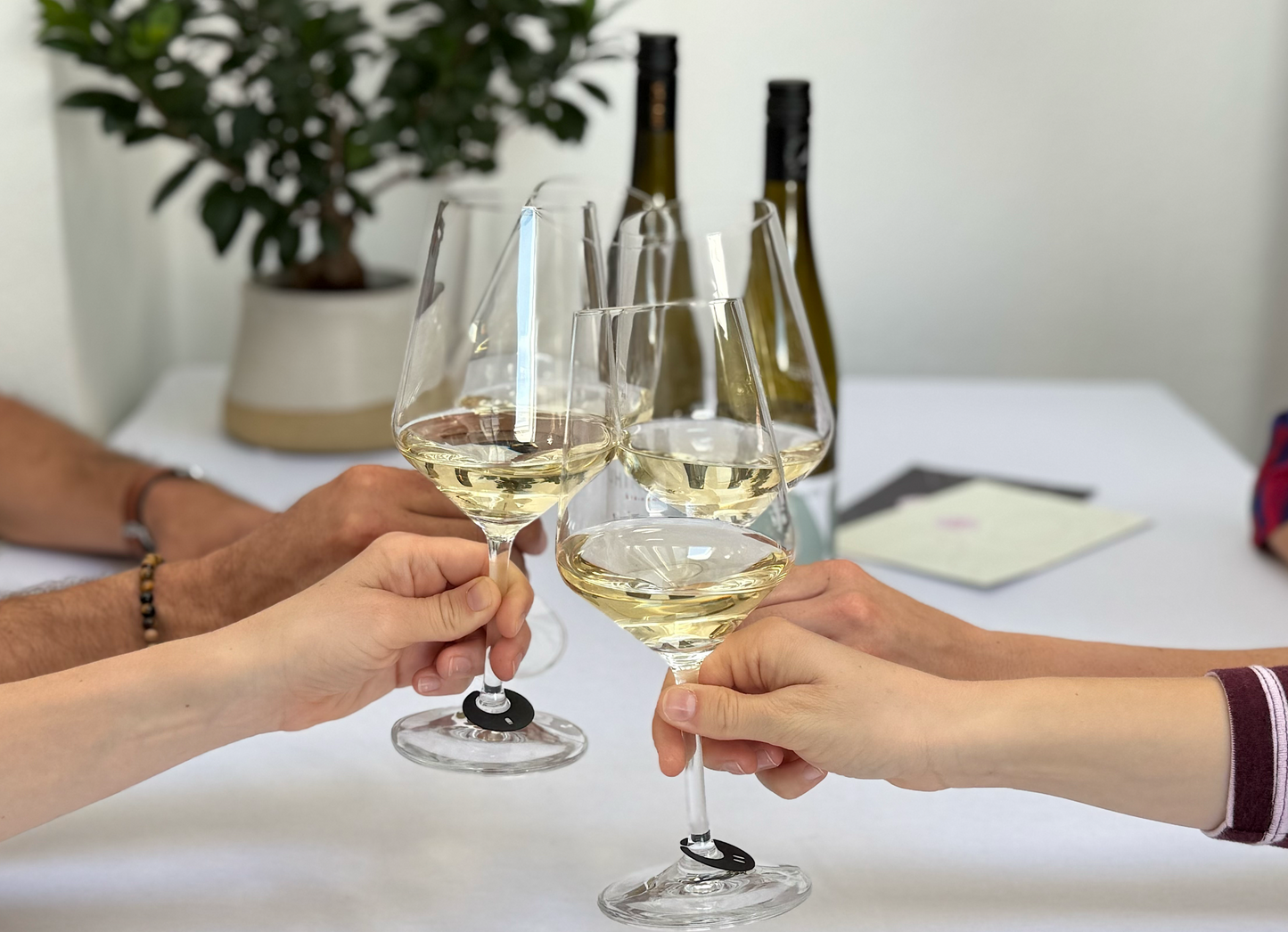 vinodo Weinprobe für Zuhause gemeinsam mit Freunden genießen