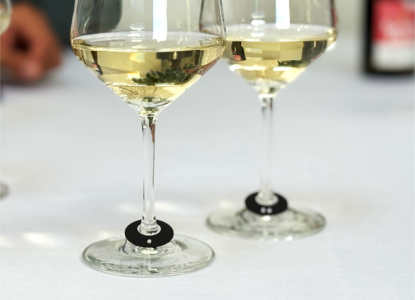 vinodo Weinprobe für Zuhause mit Weinglasmarkierungen