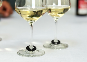 vinodo Weinprobe für Zuhause mit Weinglasmarkierungen