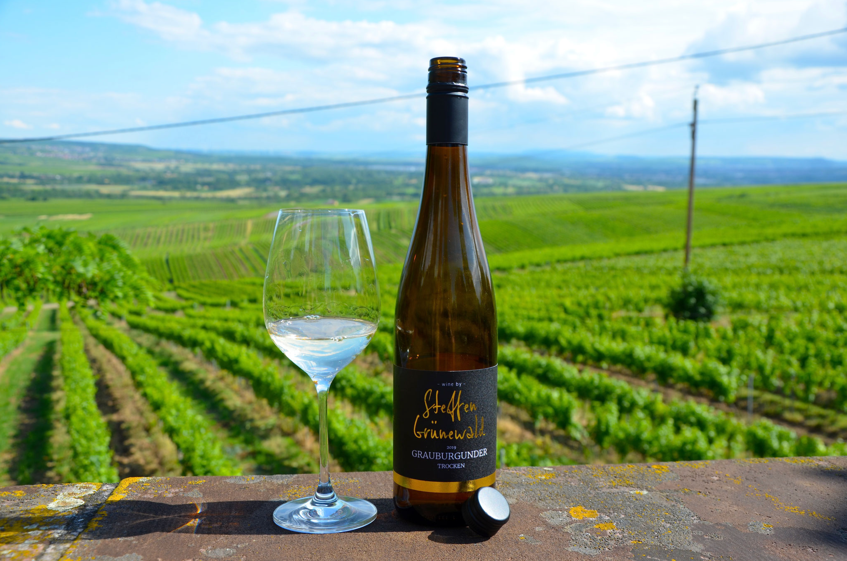 Eine Flasche Wein im Weinberg des Weinhauses Steffen Grünewald