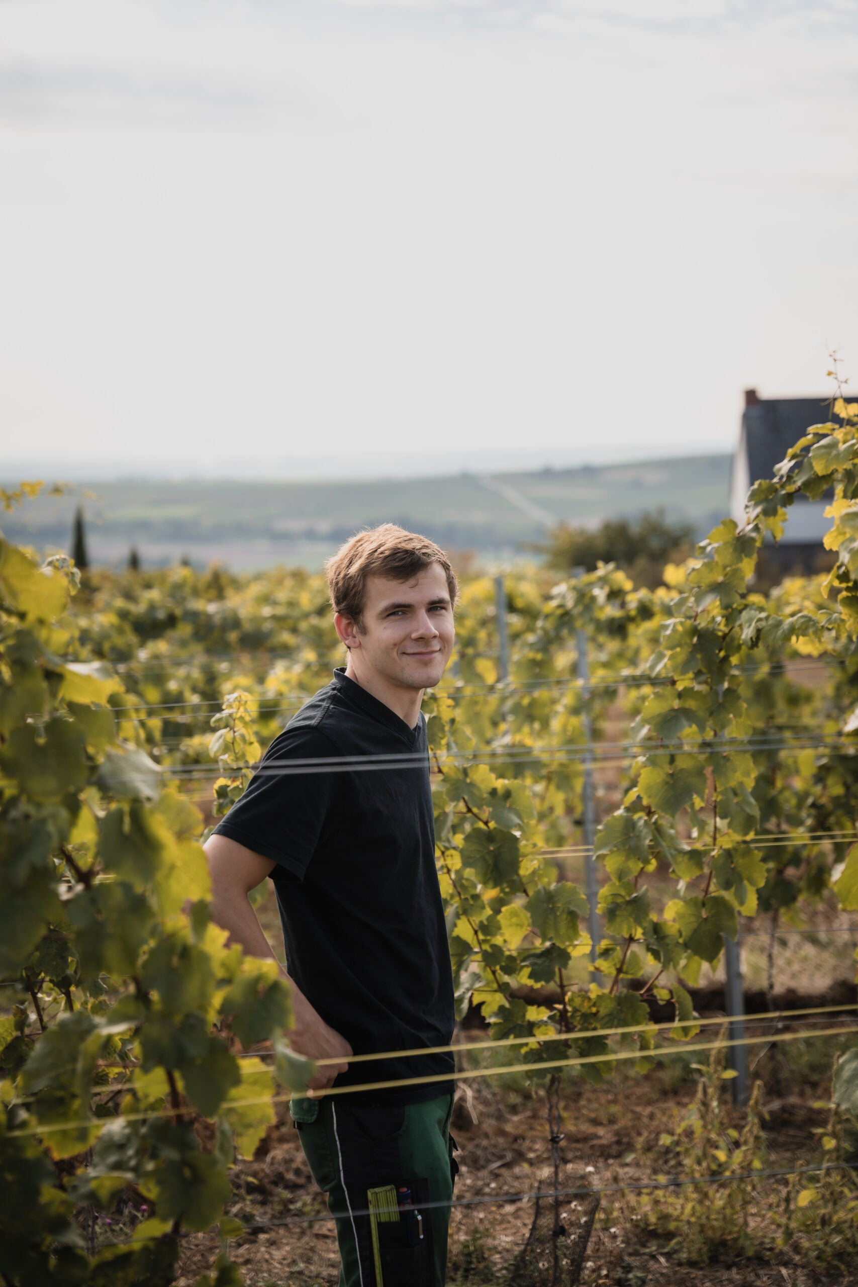 Justus im Weinberg des Weinguts ZWAJ
