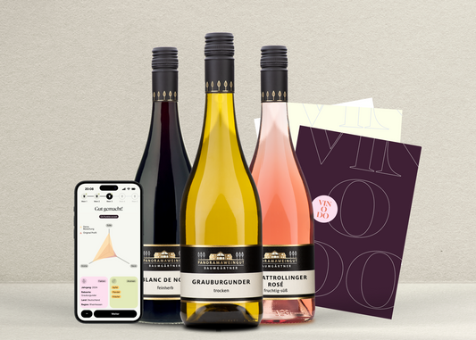 vinodo Tasting zuhause klein - Panoramaweingut Baumgärtner