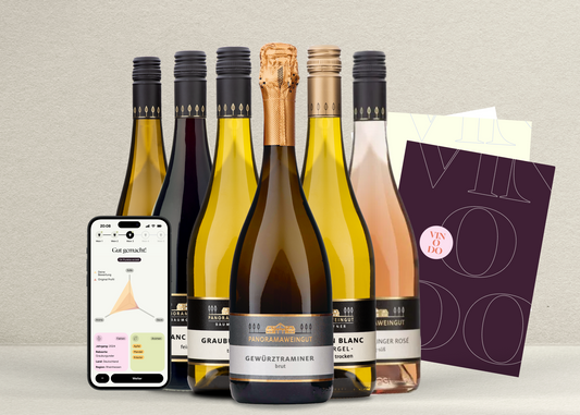 vinodo Tasting zuhause groß - Panoramaweingut Baumgärtner