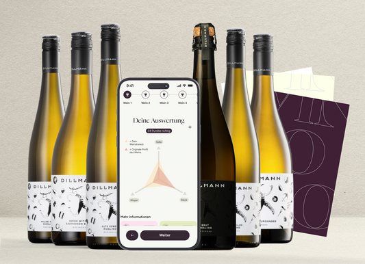 Produktbild Weinprobe Weingut Dillmann