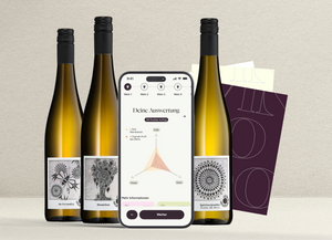 vinodo Weinprobe - Weingut Lena und Sebastian