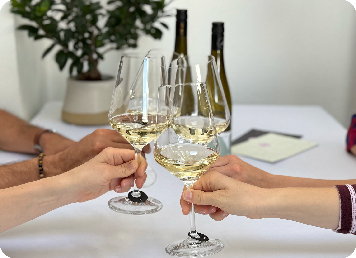 Die vinodo Weinprobe ist ein einzigartiges Weinerlebnis für gesellige Abende mit Freunden.