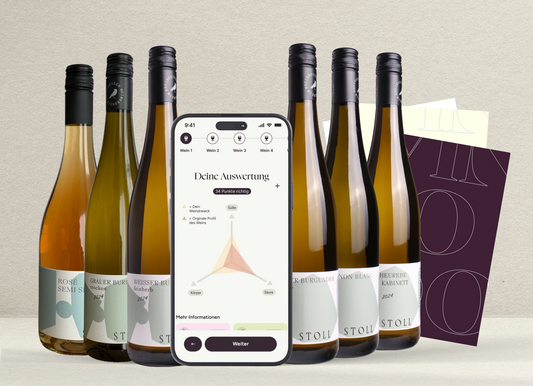 Produktbild Weinprobe Weingut Stoll
