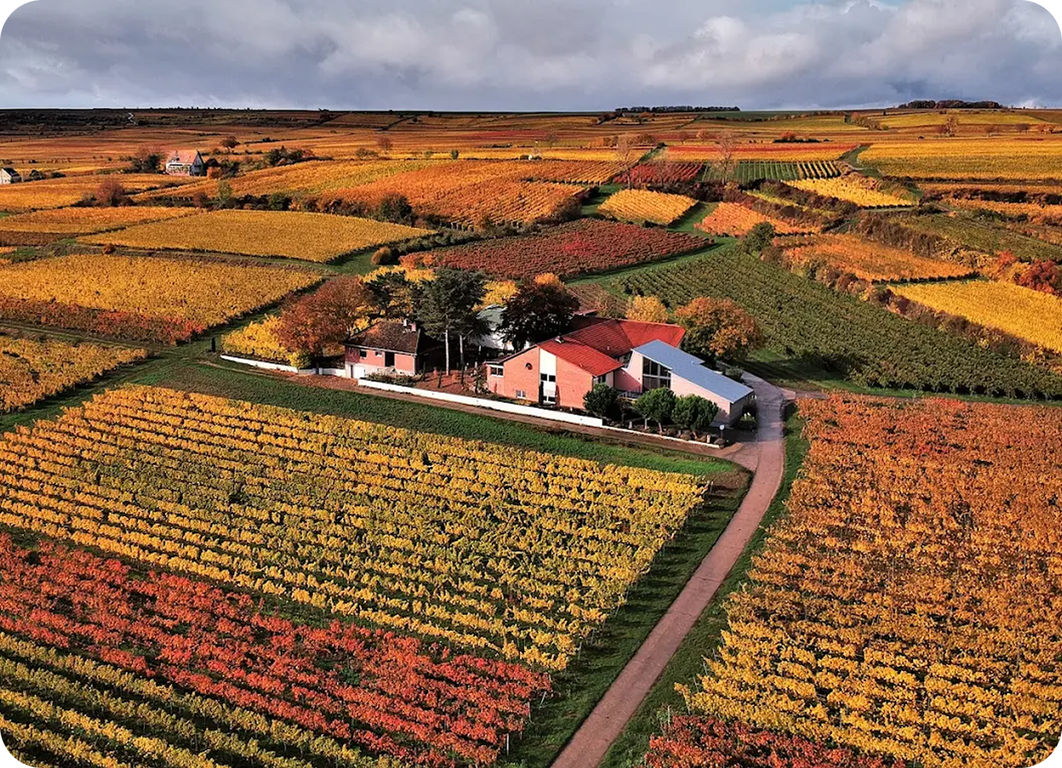 vinodo unterstützt gezielt kleine Familienweingüter wie das Weingut Uhinck Steigerhof.