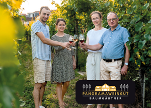 vinodo Tasting zuhause groß - Panoramaweingut Baumgärtner